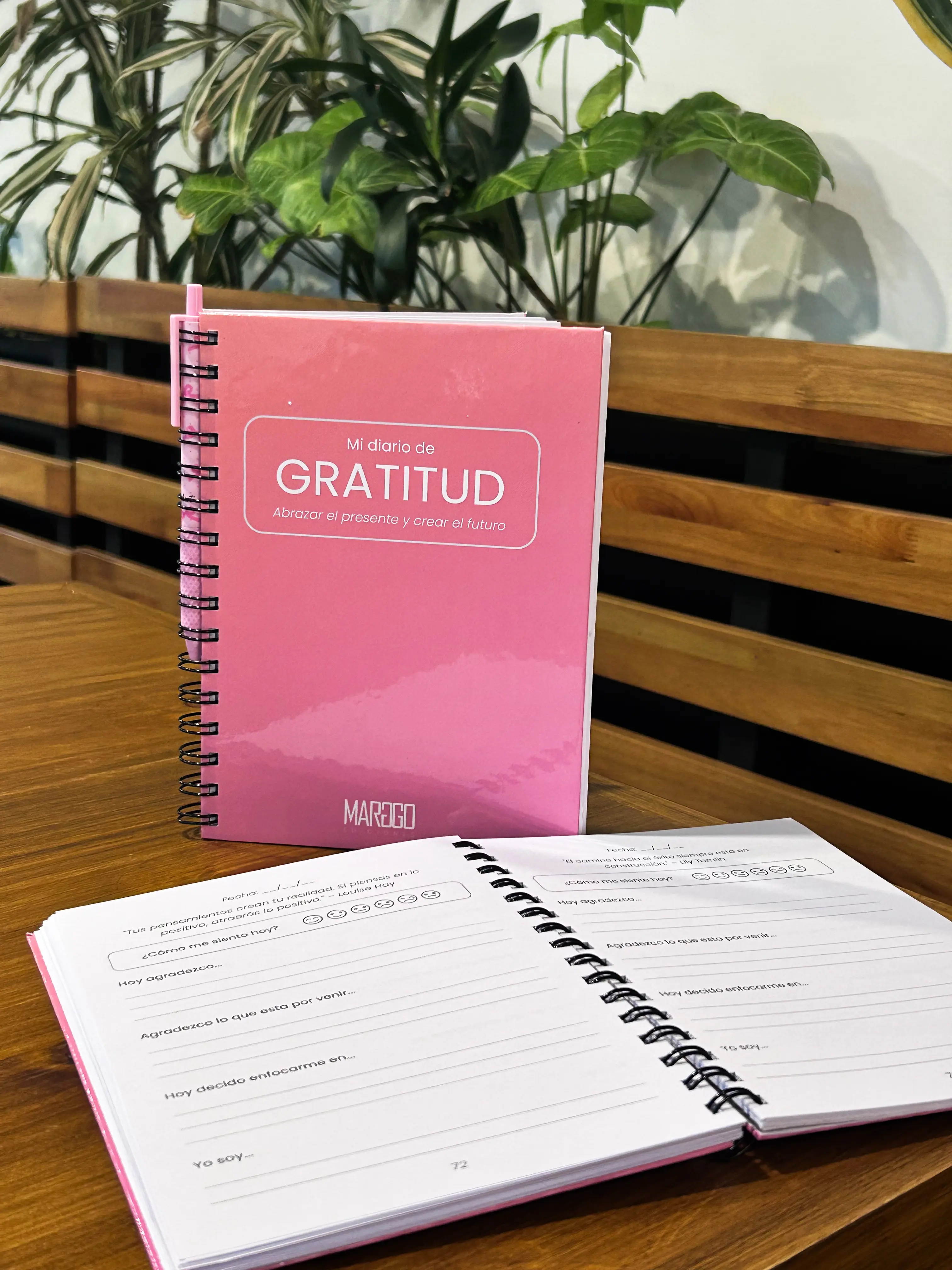 Página de diario con notas de gratitud escritas a mano